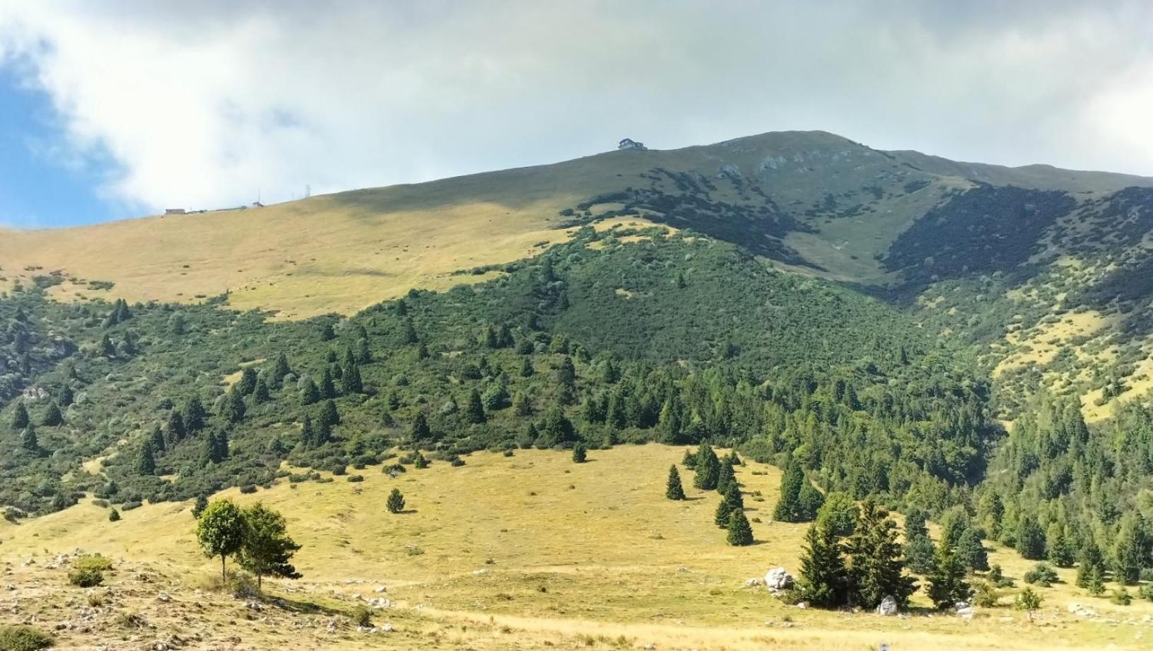 Casa Il Volo *